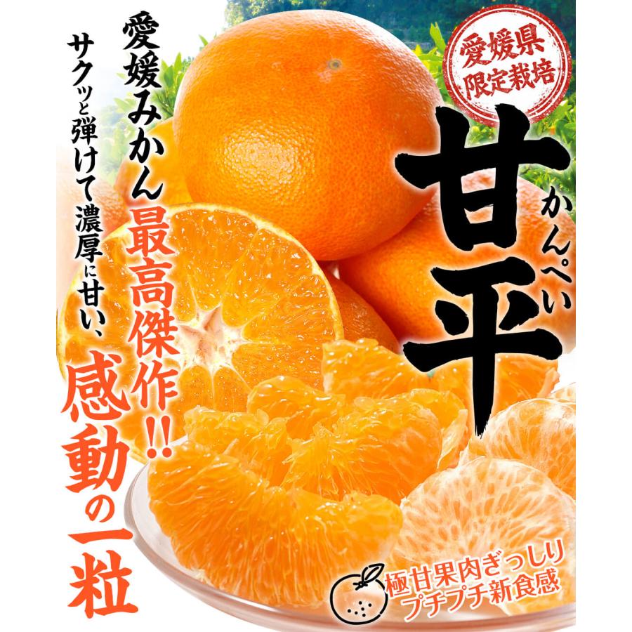 みかん 愛媛産 大特価 甘平 3kg ご家庭用 送料無料 かんぺい カンペイ