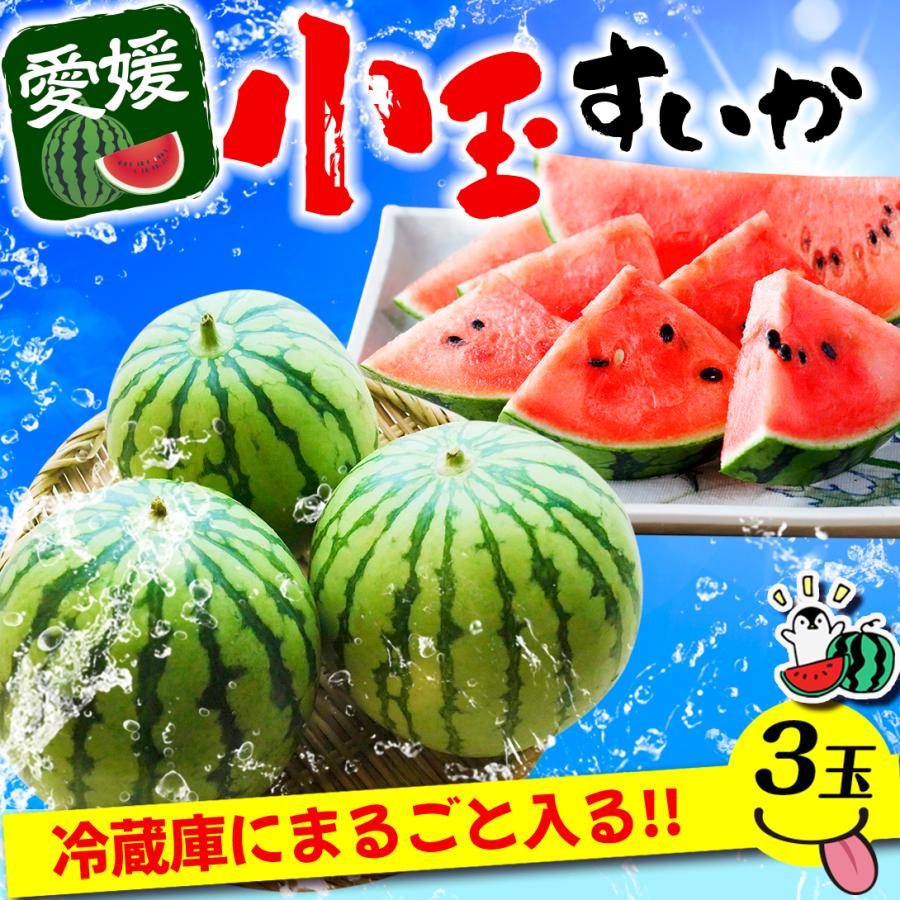 すいか 3玉 愛媛産 小玉すいか ひとりじめ・姫甘泉いずれかでお届け