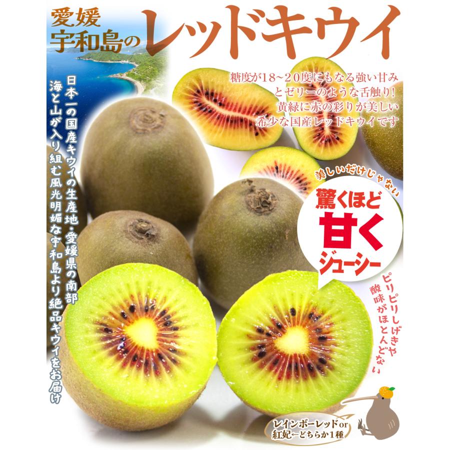 キウイ 約2kg 宇和島のレッドキウイ 愛媛産 赤芯キウイ 希少 20玉前後