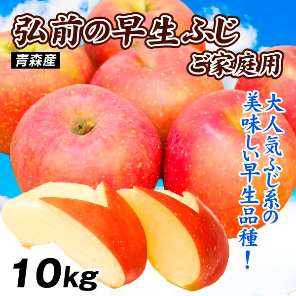 りんご 10kg 青森産 大特価 弘前の早生ふじ りんごの王様 ふじ ご家庭