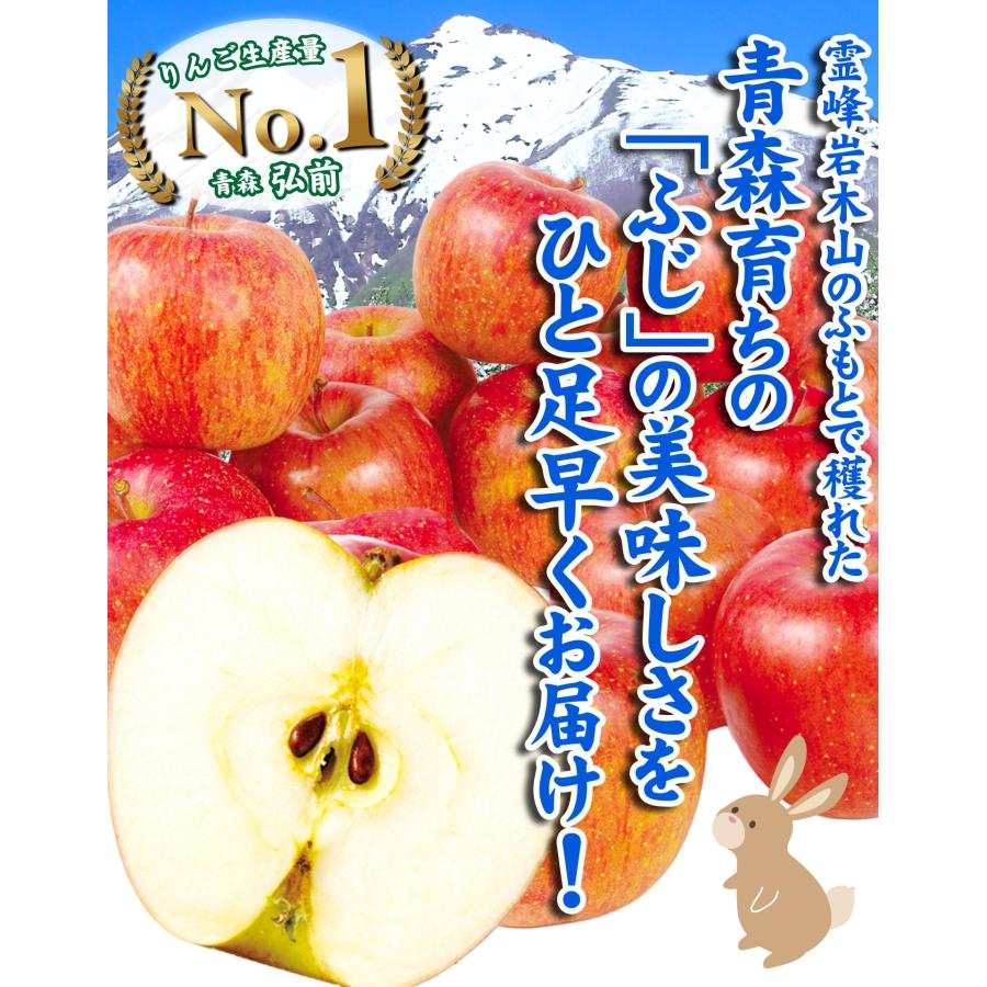 青森県弘前産 りんご ふじ 10kg 36〜40玉入 りんご 10kg 青森産 大特価 弘前の早生ふじ りんごの王様 ふじ ご家庭