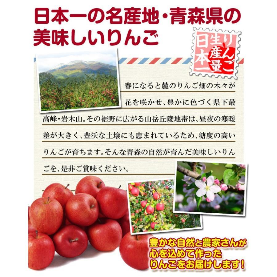 りんご 10kg 青森産 大特価 弘前の早生ふじ りんごの王様 ふじ ご家庭