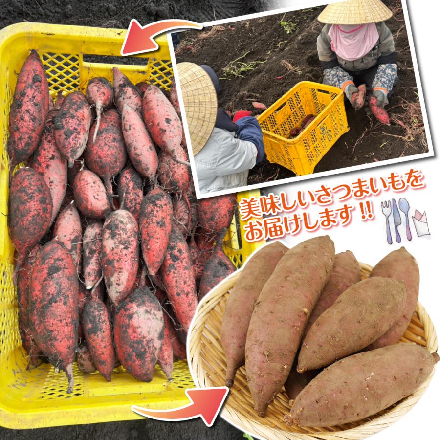 さつまいも 10kg みぞちゃんの 紅まさり 宮崎産 送料無料 食品 : 食