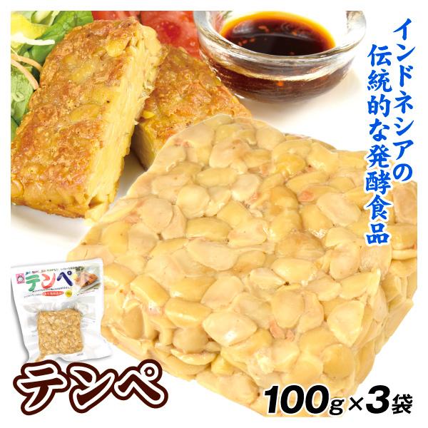 テンペ 3袋 発酵大豆 食品 常温便 : 食みらい・国華園 - 通販 - Yahoo