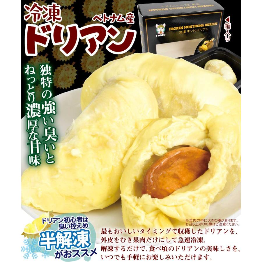 冷凍フルーツ 1kg 冷凍ドリアン ベトナム産 500g×2箱 化粧箱 冷凍便