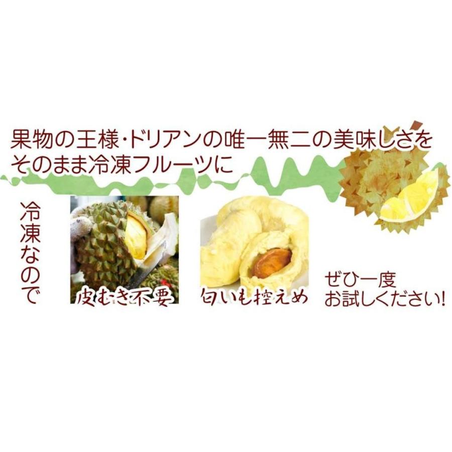 冷凍フルーツ 1kg 冷凍ドリアン ベトナム産 500g×2箱 化粧箱 冷凍便