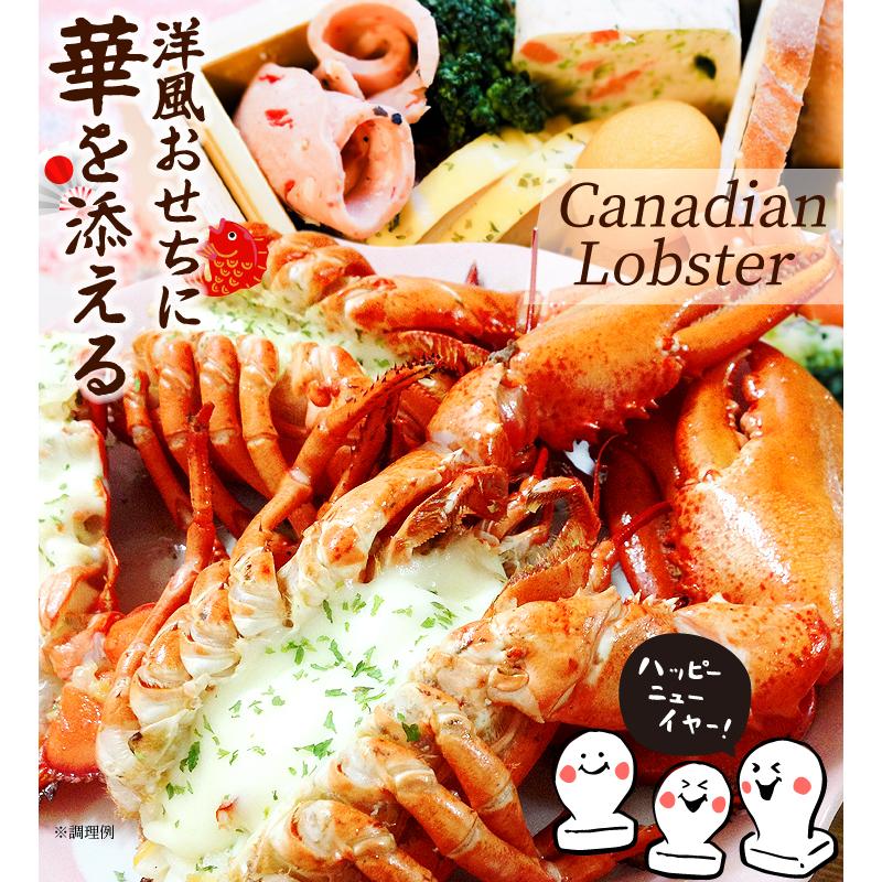 カナダ産 ボイル オマール海老 1尾 冷凍 ロブスター グルメ 国華園 S Fk2370 食みらい 国華園 通販 Yahoo ショッピング