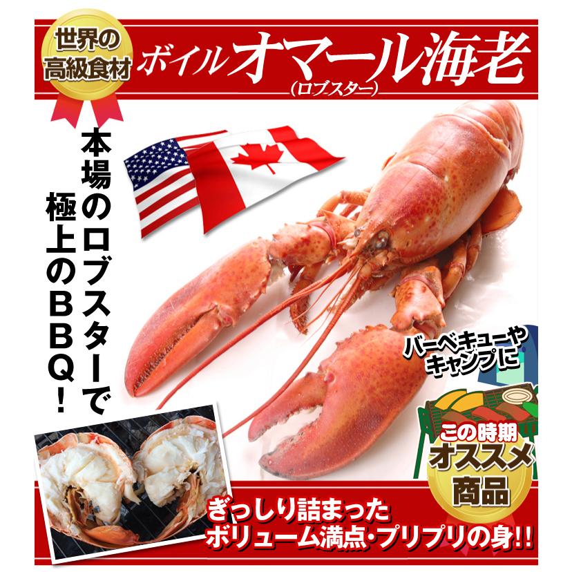 最愛 ボイルロブスター 2尾 冷凍便 食品 国華園 Originaljustturkey Com