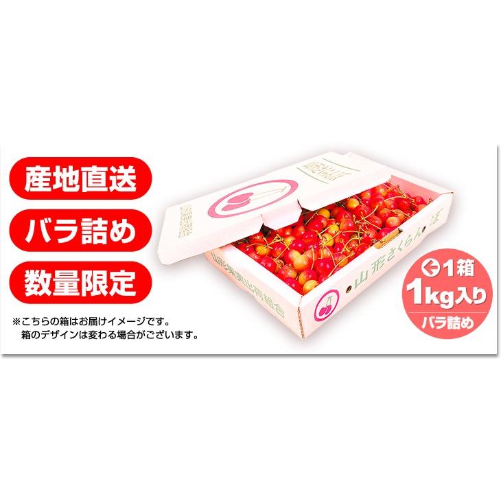 さくらんぼ 山形産 ご家庭用 佐藤錦 1kg 送料無料 食品