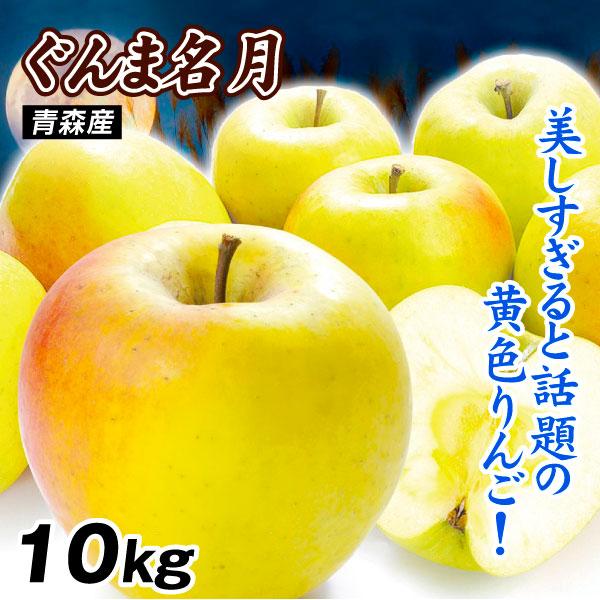 ぐんま名月10キロ りんご 10kg ぐんま名月 青森産 送料無料 食品 : 食みらい・国華園