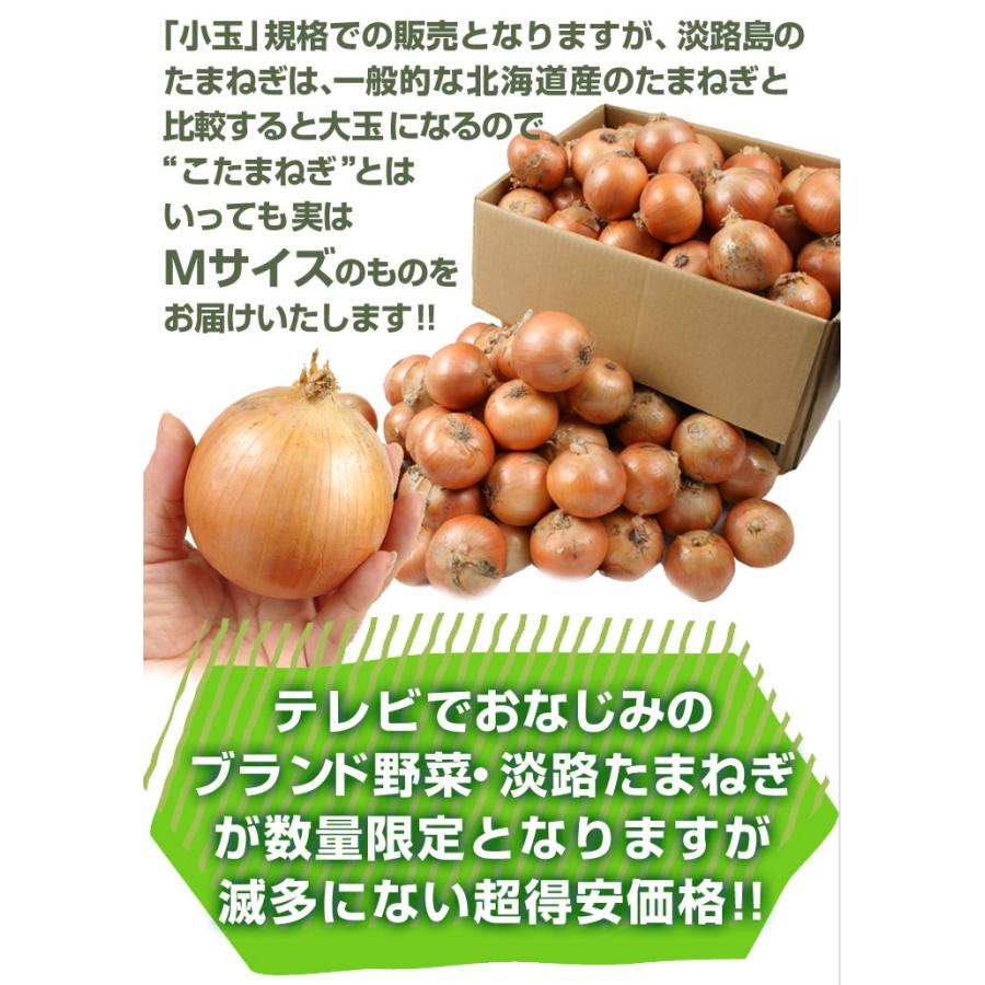 たまねぎ 10kg 小玉たまねぎ 淡路島産 ご家庭用 送料無料 食品｜seikaokoku｜02