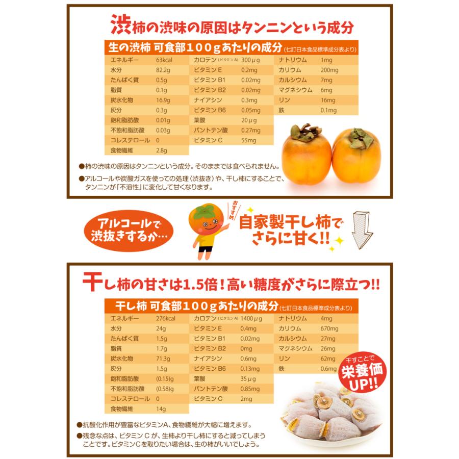 柿 10kg 愛宕柿【干柿用渋柿】 ご家庭用 徳島・愛媛産 送料無料 食品