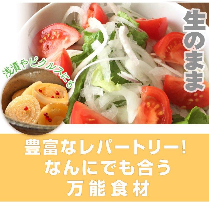 たまねぎ 淡路島産 ふぞろい新たまねぎ 10kg 訳あり 送料無料 食品 
