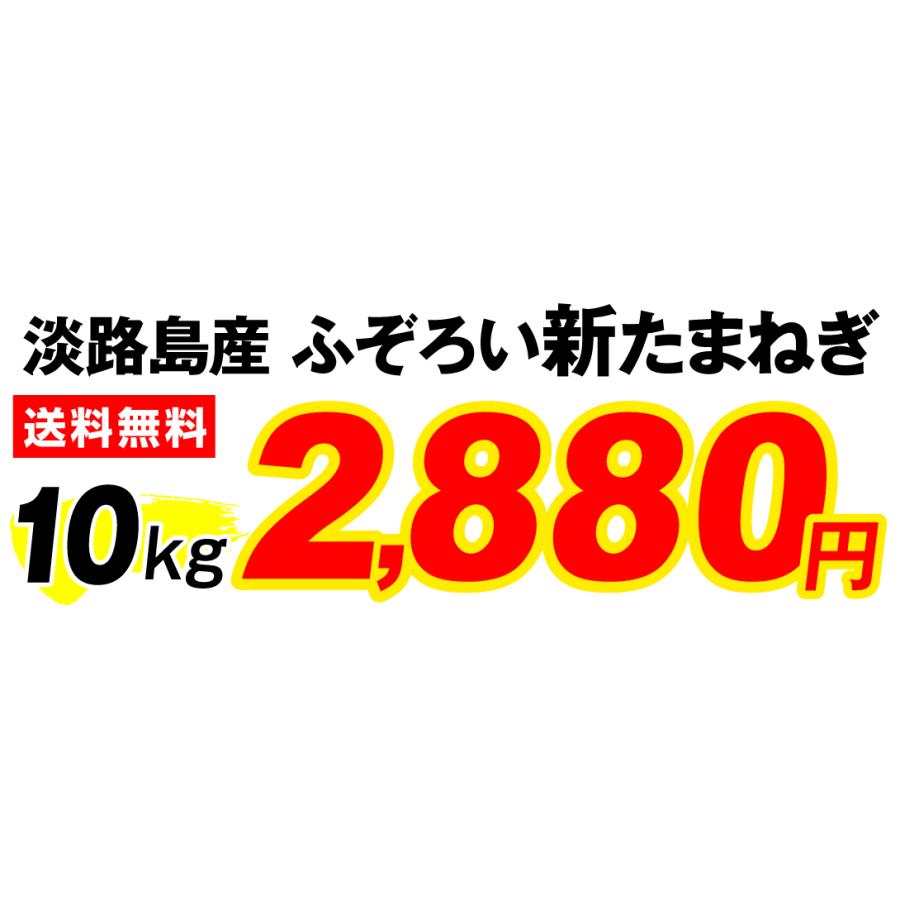 玉ねぎ 10kg ふぞろい新玉ねぎ 淡路島産 ブランドたまねぎ 無選別 サイズ混合 サラダ 送料無料 食品｜seikaokoku｜03