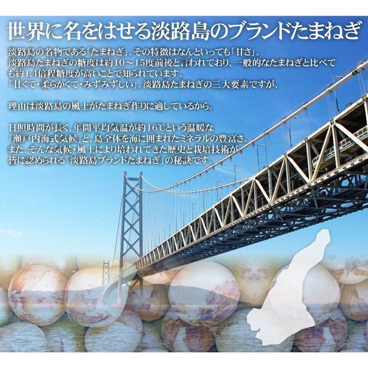 玉ねぎ 10kg ふぞろい新玉ねぎ 淡路島産 ブランドたまねぎ 無選別 サイズ混合 サラダ 送料無料 食品｜seikaokoku｜04