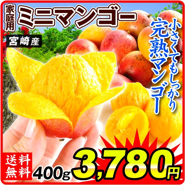 マンゴー アップルマンゴー 400g 宮崎産 ご家庭用ミニマンゴー 太陽のタマゴと同じ品種 送料無料 食品｜seikaokoku