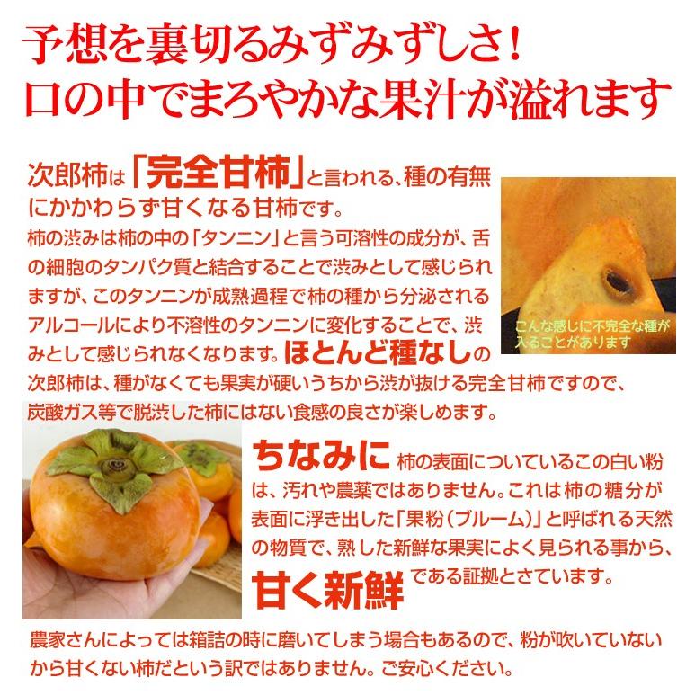 柿 約10kg 三重・愛知産 大特価 次郎柿 ご家庭用 送料無料 食品 |  | 04
