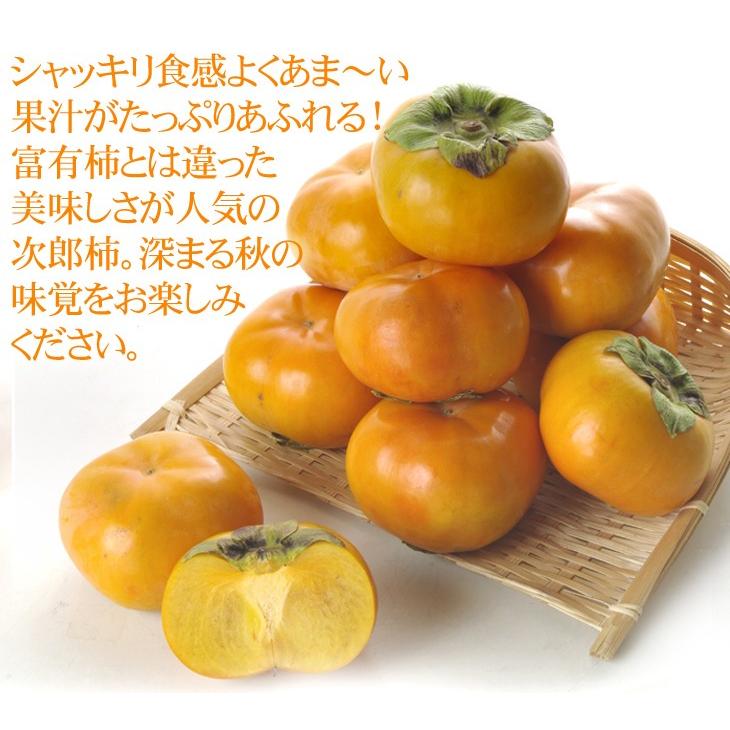 柿 約10kg 三重・愛知産 大特価 次郎柿 ご家庭用 送料無料 食品 |  | 06