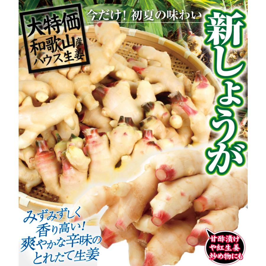 しょうが 4kg 新しょうが 和歌山産 新生姜 冷蔵便 送料無料 食品｜seikaokoku｜02