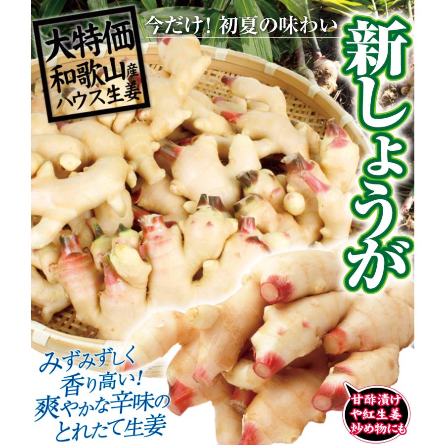 しょうが 8kg 新しょうが 和歌山産 送料無料 食品｜seikaokoku｜03