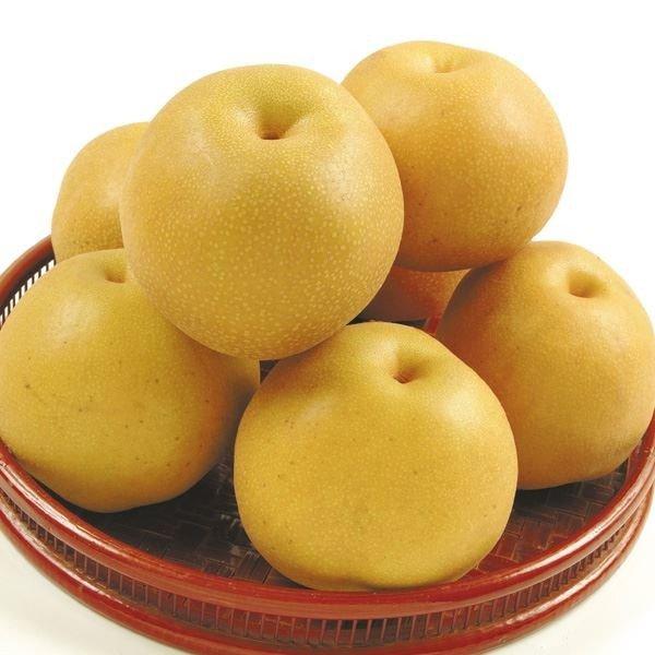 熊本県産新高梨約10kg 新高梨【熊本県産】10〜36玉 約10kg ナシ 果物 くだもの 期間