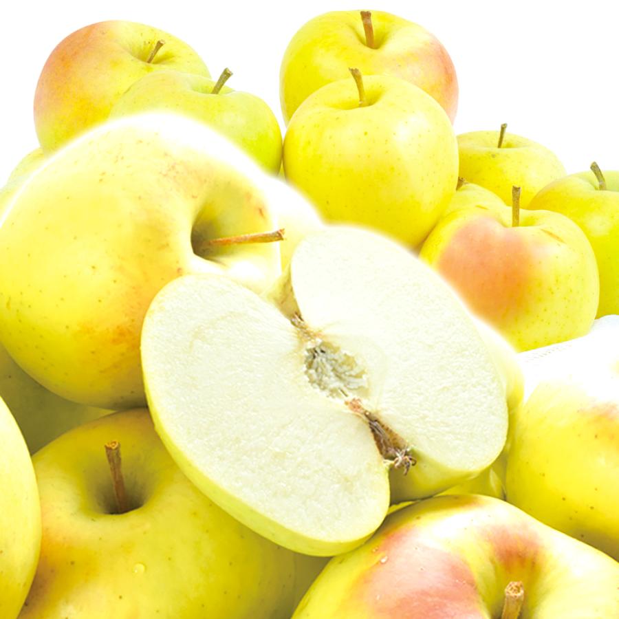 りんご 青森産 新作続 とき 10kg 林檎 ご家庭用 希少品種 シャキシャキ トキ 与え 国華園 数量限定 黄金りんご