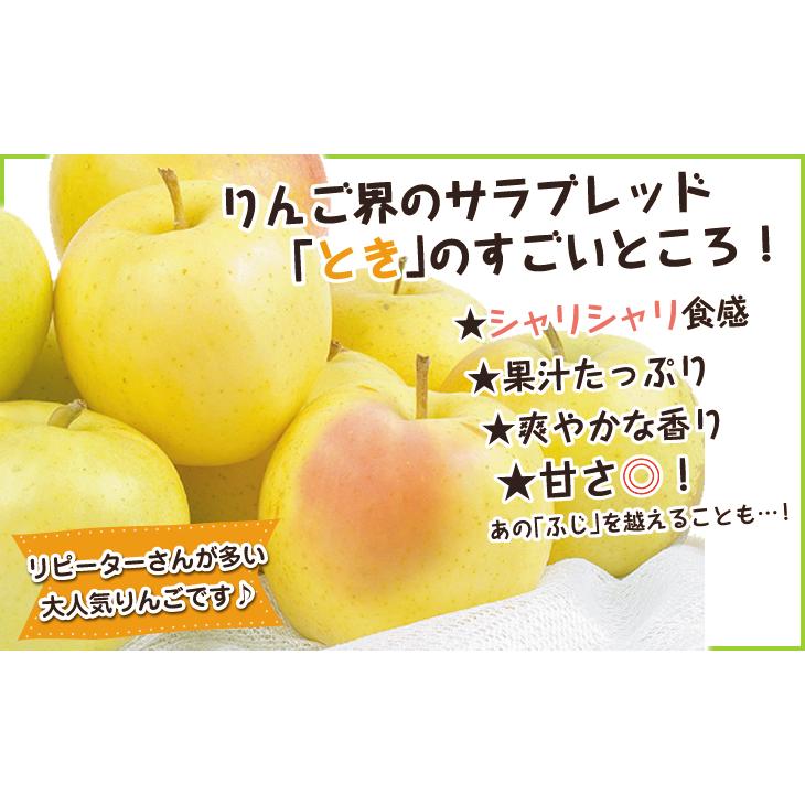 りんご 10kg 青森産 とき(24〜56玉)送料無料 林檎 フルーツ食品 国華園 :s-fs2679:食みらい・国華園 - 通販 - Yahoo!ショッピング りんご 10kg 青森産 とき(24〜56玉)送料無料 林檎 フルーツ食品 国華園 :s-fs2679:食みらい・国華園 - 通販 - Yahoo!ショッピング