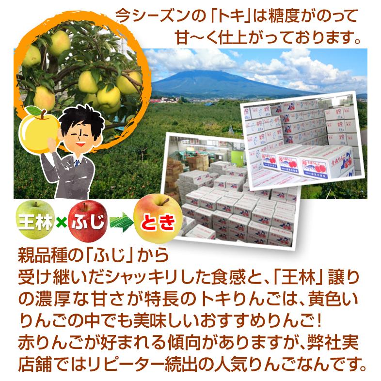 りんご 青森産 とき 訳あり 10kg 林檎 ご家庭用 数量限定 黄金りんご トキ 希少品種 シャキシャキ 国華園 S Fs2679 食みらい 国華園 通販 Yahoo ショッピング