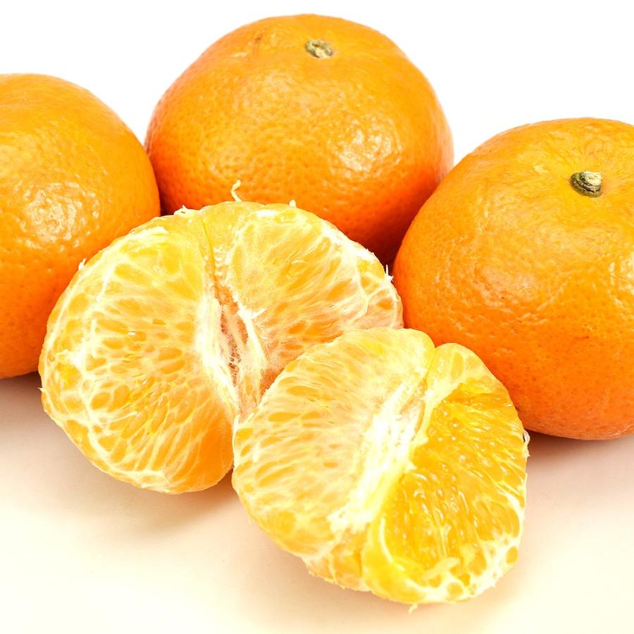 みかん イスラエル産 オアオレンジ 3kg 21玉前後 トロピカル 柑橘 かんきつ フルーツ 国華園 S Fs2743 食みらい 国華園 通販 Yahoo ショッピング