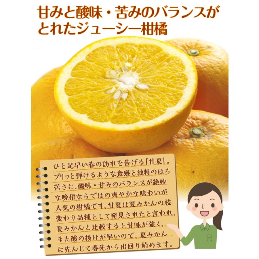 みかん 木熟甘夏 10kg 熊本産 ご家庭用 送料無料 食品 : 食 みかん 木熟甘夏 10kg 熊本産 ご家庭用 送料無料 食品 : 食