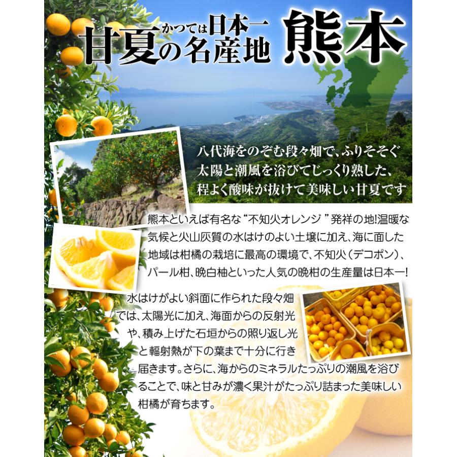 激レア‼️和歌山県産　木熟メロゴールド 25-27玉入り 10kgみかんキング 和歌山県 JAわかやま紀南地域本部 高糖度みかん「木熟201」赤無印以上