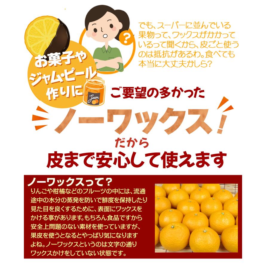 みかん 10kg 木熟甘夏 熊本産 ご家庭用 甘夏 木熟 あまなつ 柑橘 果物