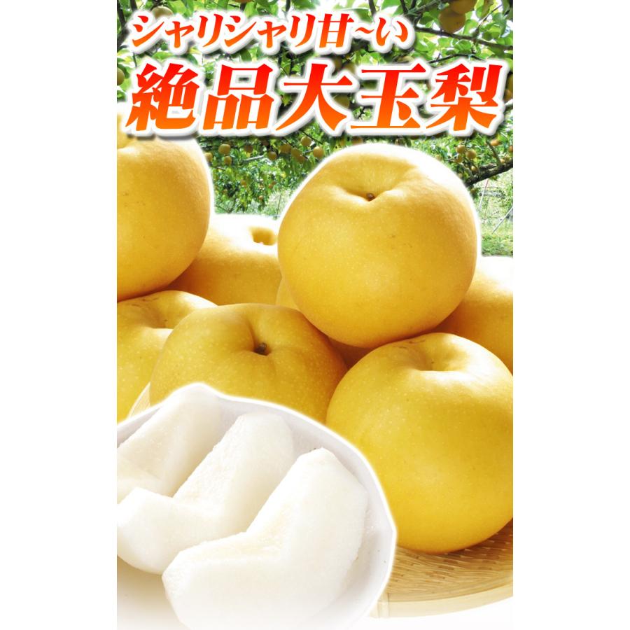 熊本県産】新高梨 にいたか梨 ナシ 家庭用 バラ詰め 訳アリ品