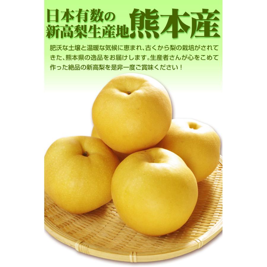 梨 約5kg 新高梨 熊本産 ご家庭用送料無料 食品 : 食みらい・国