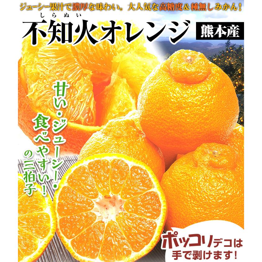 みかん 熊本産 不知火オレンジ 10kg ご家庭用 無選別 デコポンと同品種 しらぬい デコみかん 蜜柑 柑橘 フルーツ 果物 食品 国華園 S Fs2992 食みらい 国華園 通販 Yahoo ショッピング