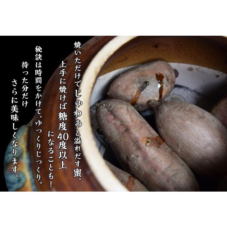 さつまいも 生芋 5kg 種子島産 お買得 安納芋ミックス 送料無料 ご家庭用 無選別 野菜 食品 国華園 :s-fs2997-1:食みらい・国華園 - 通販 - Yahoo!ショッピング さつまいも 生芋 5kg 種子島産 お買得 安納芋ミックス 送料無料 ご家庭用 無選別 野菜 食品 国華園 :s-fs2997-1:食みらい・国華園 - 通販 - Yahoo!ショッピング