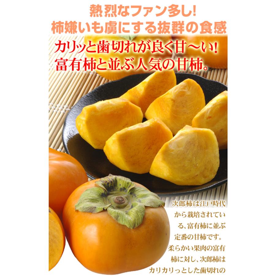 愛知 三重産 次郎柿 約10kg 1箱 S Fs3024 食みらい 国華園 通販 Yahoo ショッピング