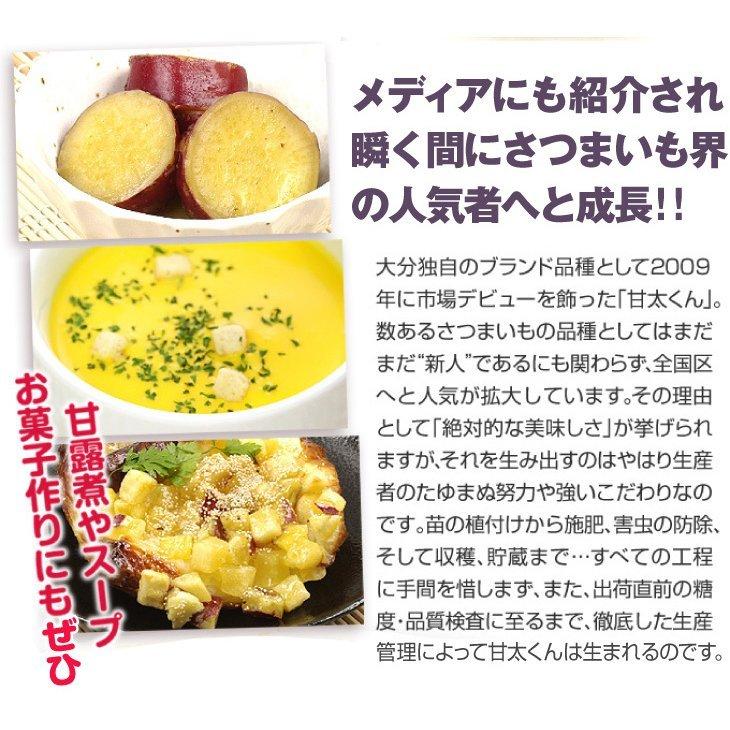 lavender！大分県産　甘太くんA品Mサイズ15キロ しぶちゃん様専用！大分県産 甘太くんA品Mサイズ5キロSサイズ5