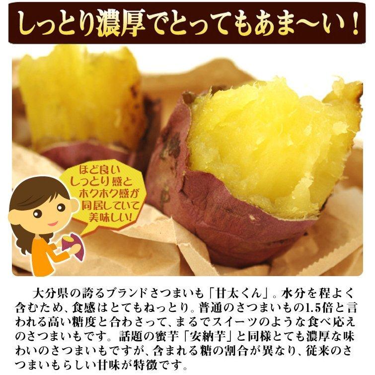 さつまいも 大分産 甘太くん 5kg 送料無料 食品 : 食みらい・国 さつまいも 大分産 甘太くん 5kg 送料無料 食品 : 食みらい・国
