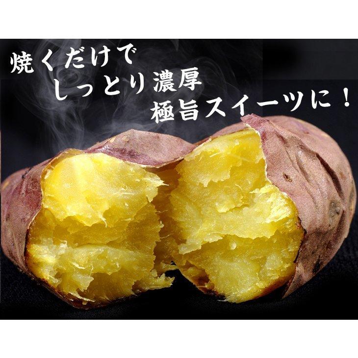 さつまいも 大分産 甘太くん 5kg 送料無料 食品 : 食みらい・国 さつまいも 大分産 甘太くん 5kg 送料無料 食品 : 食みらい・国