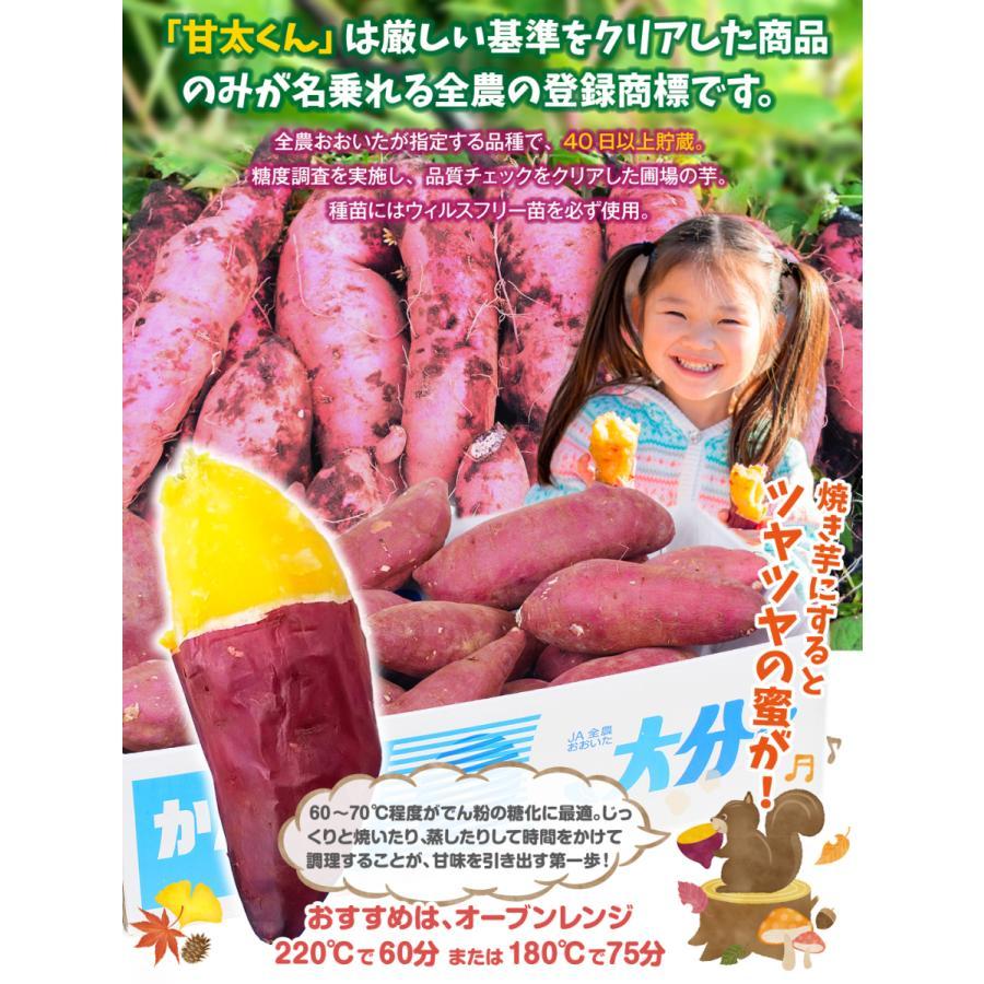 さつまいも 大分産 甘太くん 5kg 送料無料 食品 : 食みらい・国 さつまいも 大分産 甘太くん 5kg 送料無料 食品 : 食みらい・国