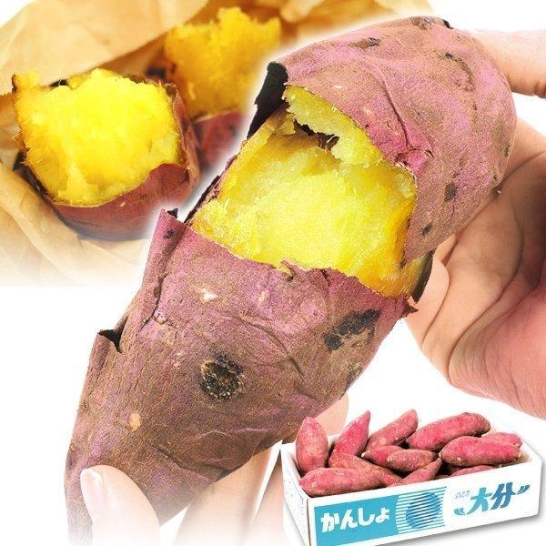 さつまいも 大分産 甘太くん 5kg 送料無料 食品 : 食みらい・国 さつまいも 大分産 甘太くん 5kg 送料無料 食品 : 食みらい・国