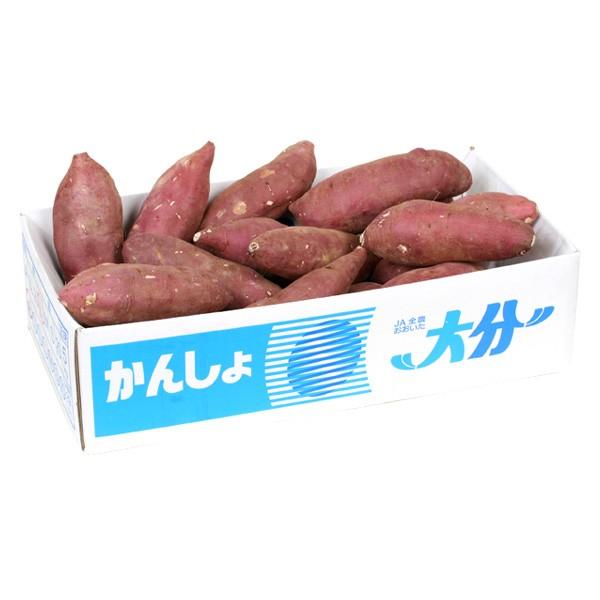 さつまいも 大分産 甘太くん 5kg 送料無料 食品 : 食みらい・国 さつまいも 大分産 甘太くん 5kg 送料無料 食品 : 食みらい・国
