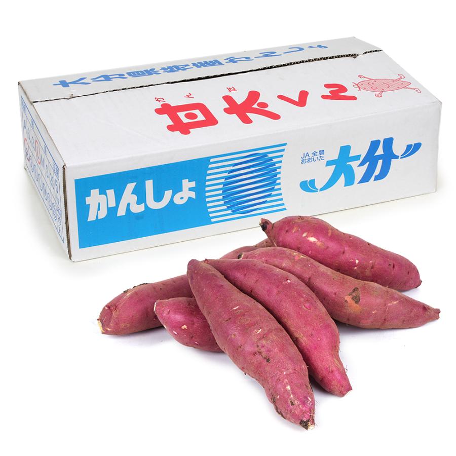 さつまいも 大分産 甘太くん 5kg 送料無料 食品 : 食みらい・国 さつまいも 大分産 甘太くん 5kg 送料無料 食品 : 食みらい・国
