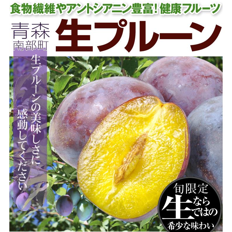 プルーン 4kg 青森産 生プルーン ご家庭用 フレッシュプルーン 品種