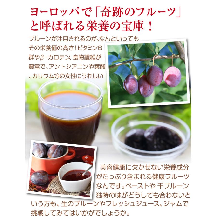 プルーン 4kg 青森産 生プルーン ご家庭用 フレッシュプルーン 品種