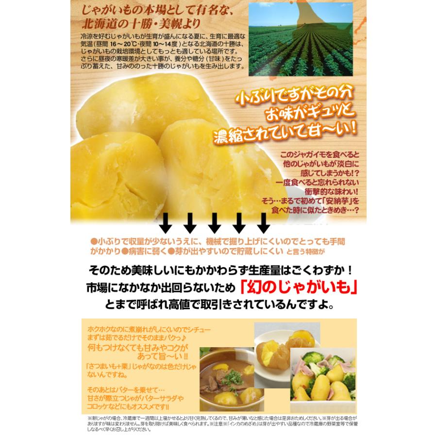 じゃがいも 10kg インカのめざめ 北海道産 送料無料 食品 : 食みらい