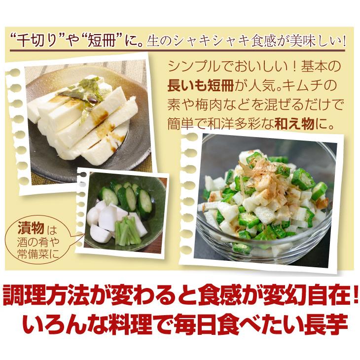 長いも 北海道産 長いも・一本物 10kg 送料無料 食品 国華園 :s-fs3098:食みらい・国華園 - 通販 - Yahoo!ショッピング 長いも 北海道産 長いも・一本物 10kg 送料無料 食品 国華園 :s-fs3098:食みらい・国華園 - 通販 - Yahoo!ショッピング