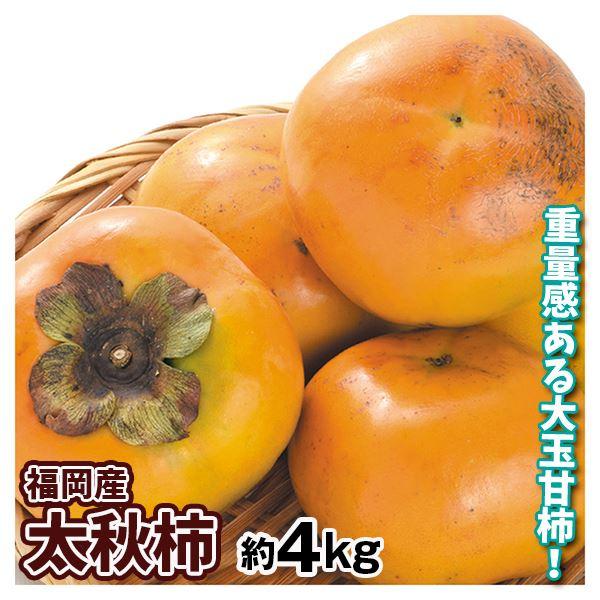 ショッピング 果物 柿 約4kg たいしゅう 太秋柿 1箱 食品 9〜16玉 送料無料 フルーツ かき 福岡産 国華園 柿 ショッピング 果物 柿 約4kg たいしゅう 太秋柿 1箱 食品 9〜16玉 送料無料 フルーツ かき 福岡産 国華園 柿