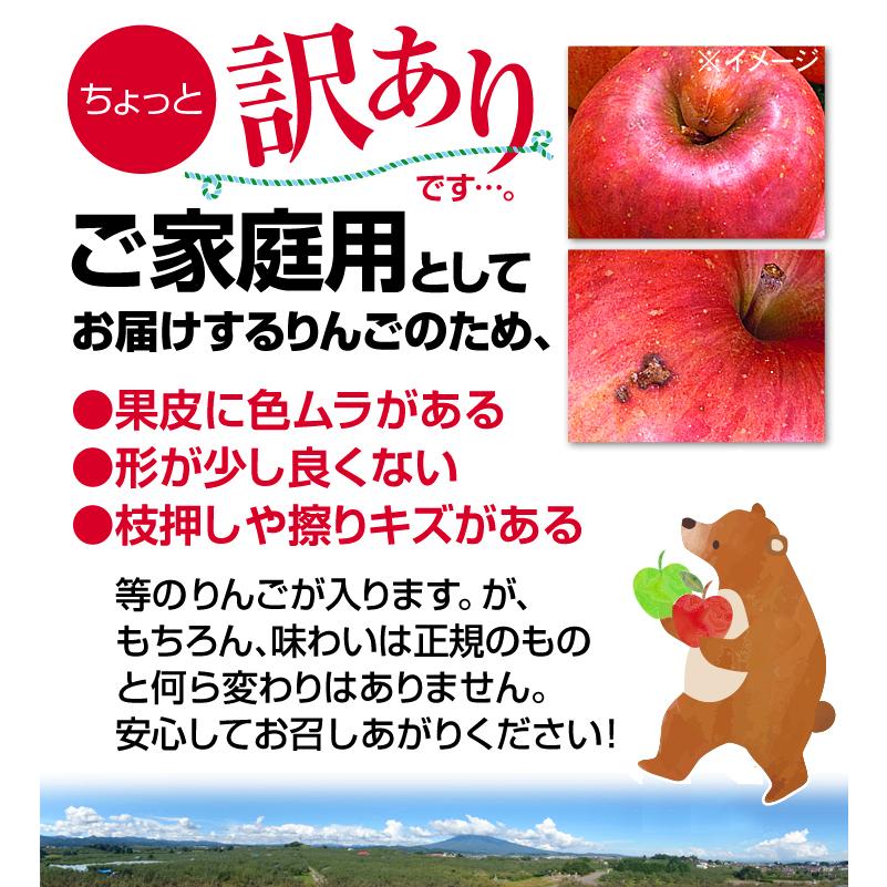 りんご 10kg 青森産 世界一 ご家庭用 送料無料 食品｜seikaokoku｜10